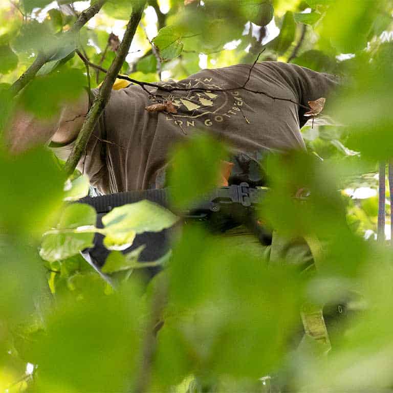 Baumkontrolle zum Erhalt der Verkehrssicherheit - Baumpfleger bei der Arbeit im Baum